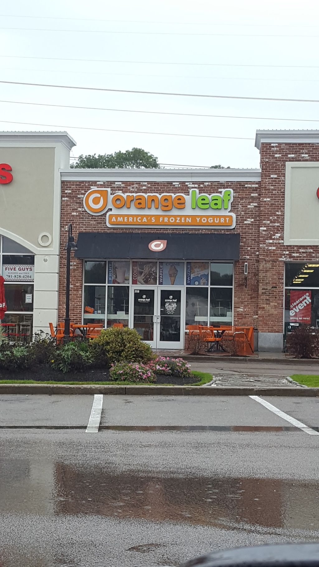 Orange-Leaf-Frozen-Yogurt