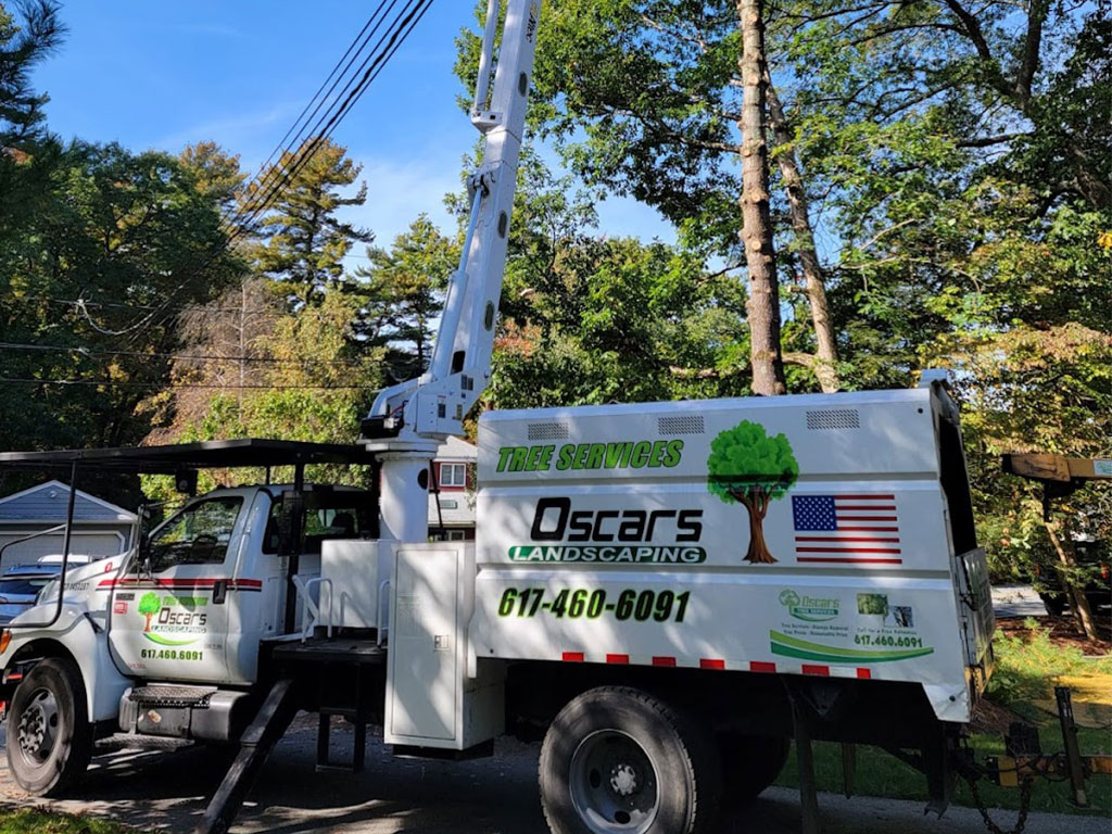 Oscars Landscaping and Tree Services