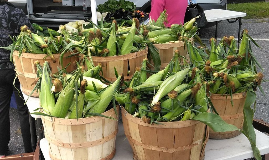 REC-Beaver-Brook-Park-Farmers-Market-1