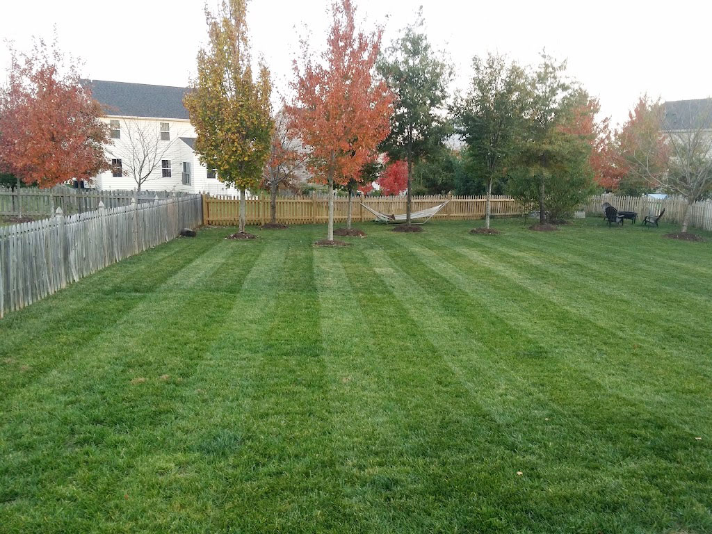 Reliable Lawn Care