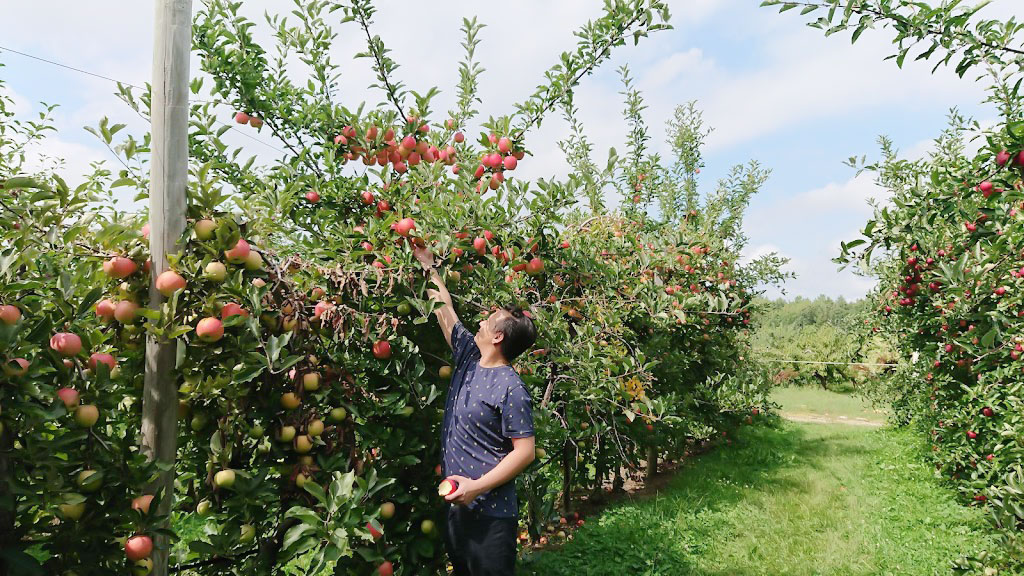 Shelburne Farm