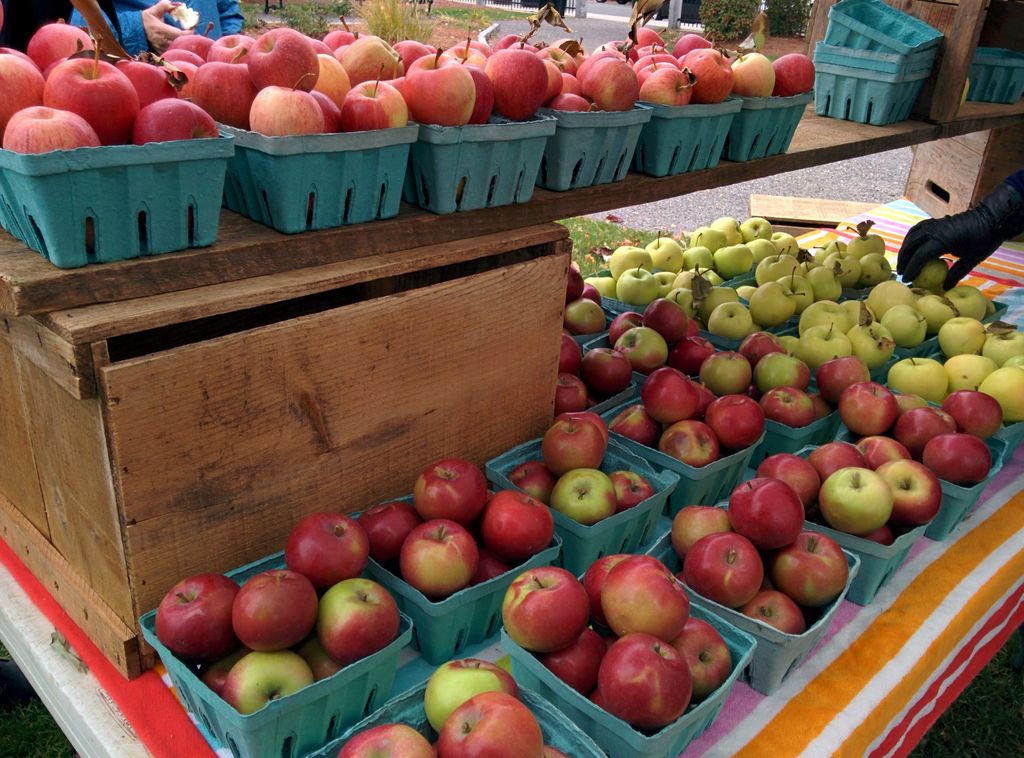 Stoneham-Farmers-Market-1