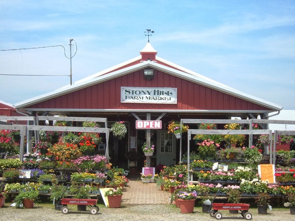 Stony-Hill-Farm-Market