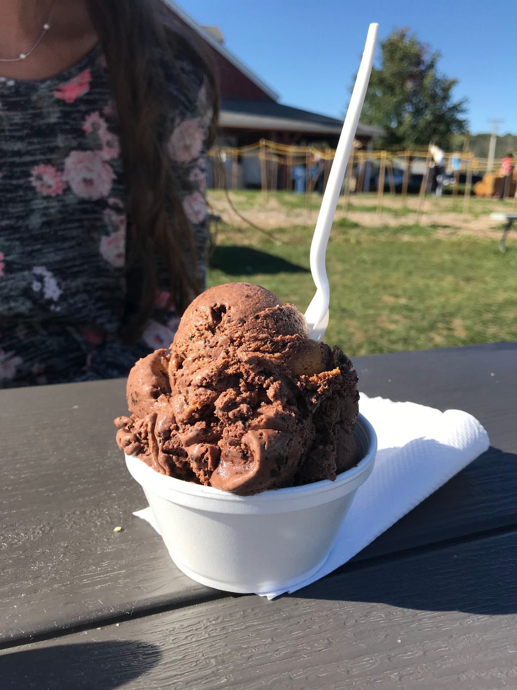 The-Barn-Ice-Cream-at-Mann-Orchards-1