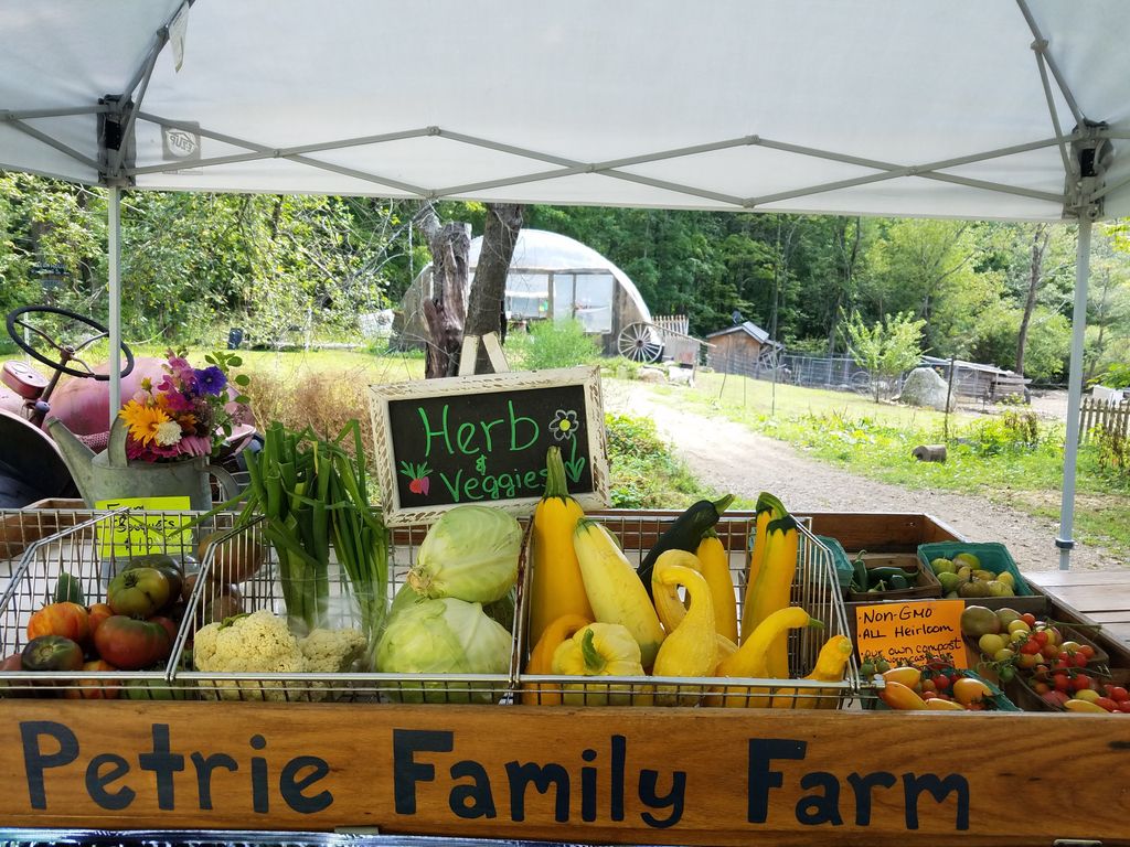 The-Petrie-Family-Farm