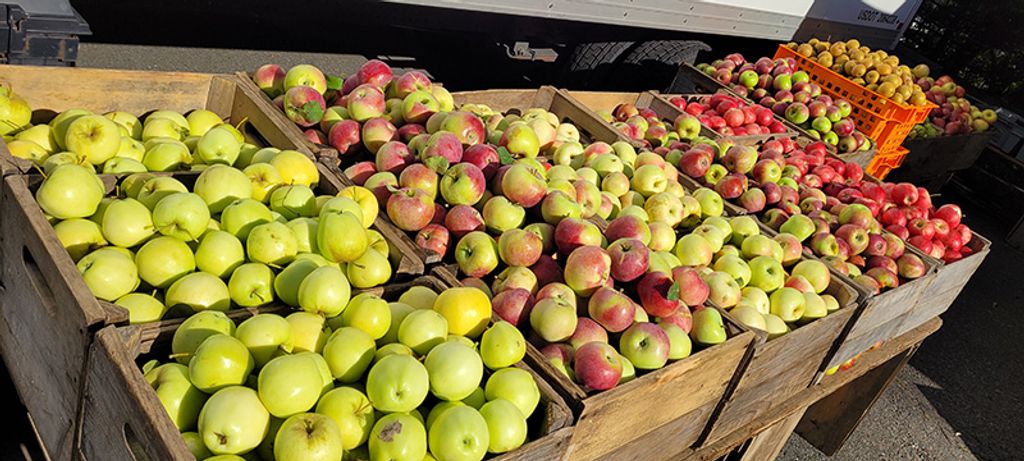 Waltham-Farmers-Market-1