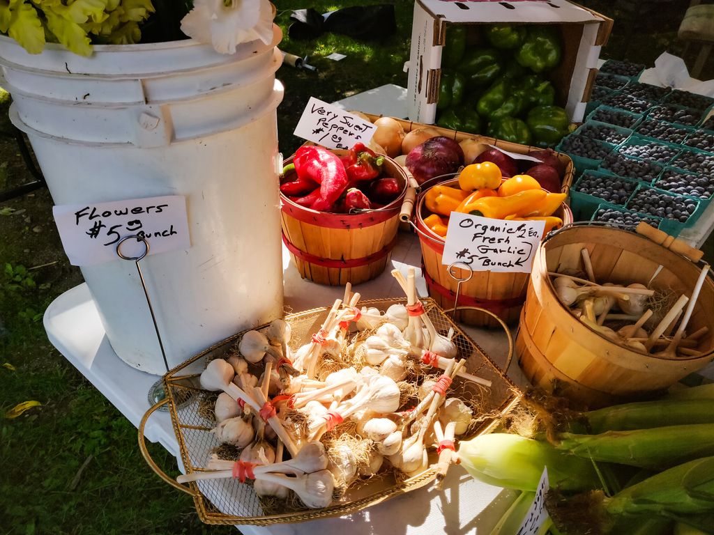 Savor Delicious Local Treats at Alford Farmers 14 Market Weekly ...