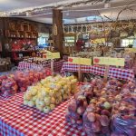 apple picking metrowest boston