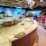 aquariums in boston