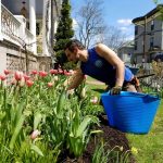 gardening service in boston