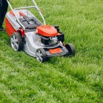 lawn care services in boston