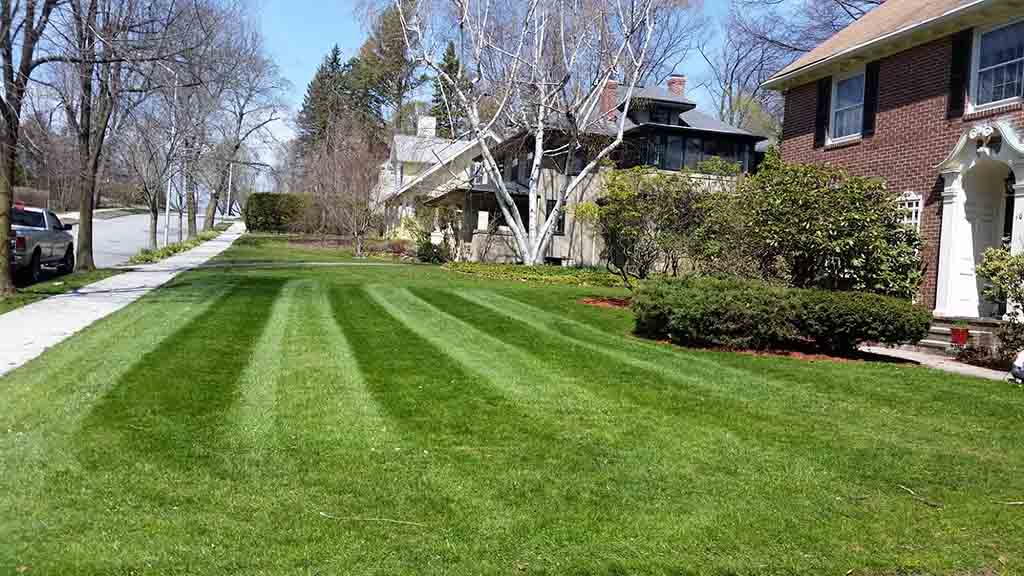 A&J PROPERTY CARE Lawn Care Landscaping And Snow Plowing