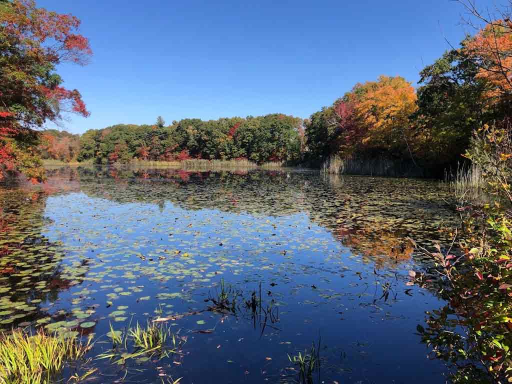 Blue Hills Reservation