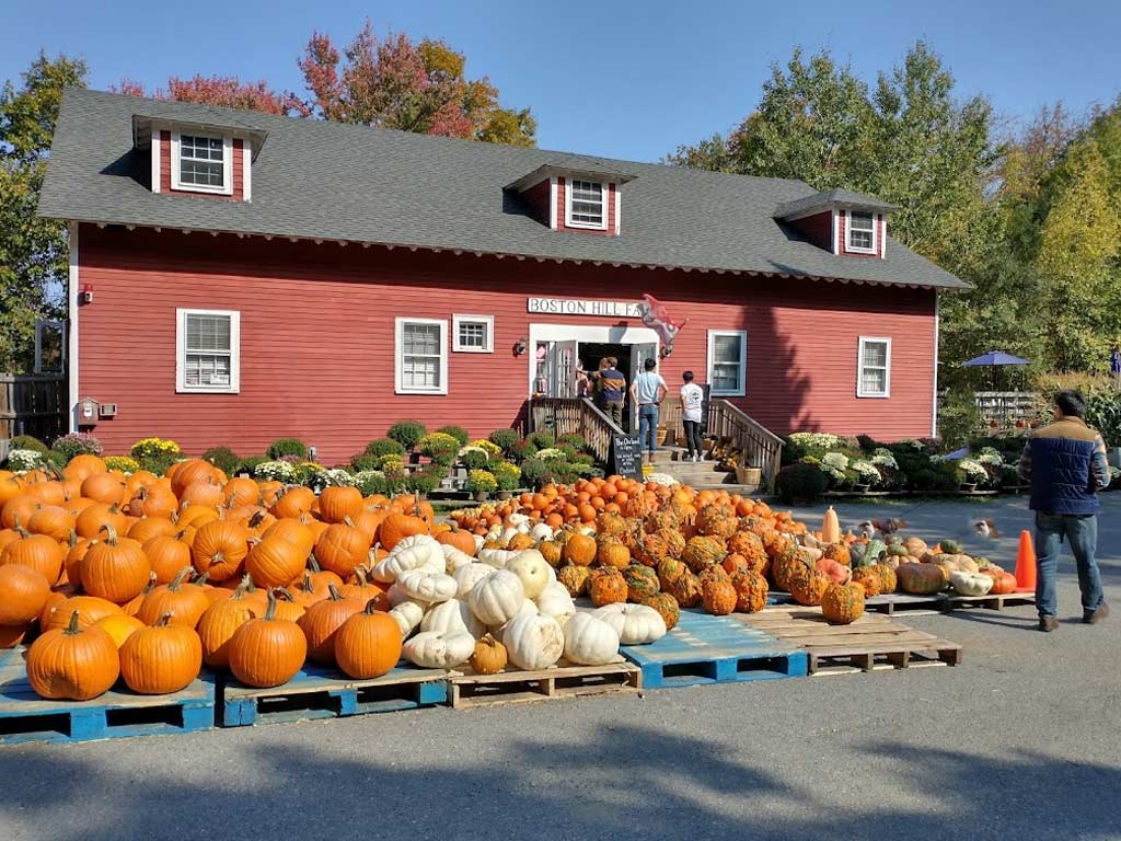 Boston Hill Farm