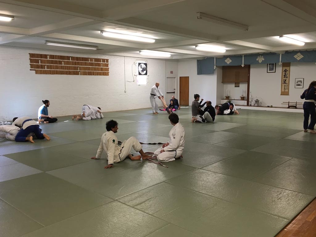 Ginsberg Academy BJJ