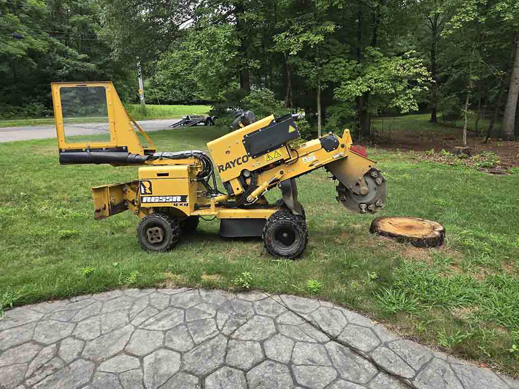 Grin & Grind Stump Removal