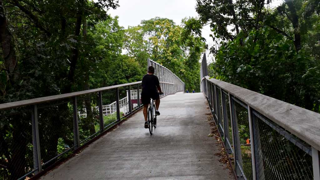 Lower Neponset River Trail