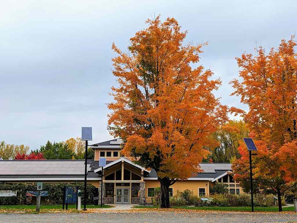 Mass Audubon's Boston Nature Center and Wildlife Sanctuary