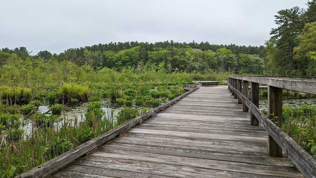 Mass Audubon's Broadmoor Wildlife Sanctuary