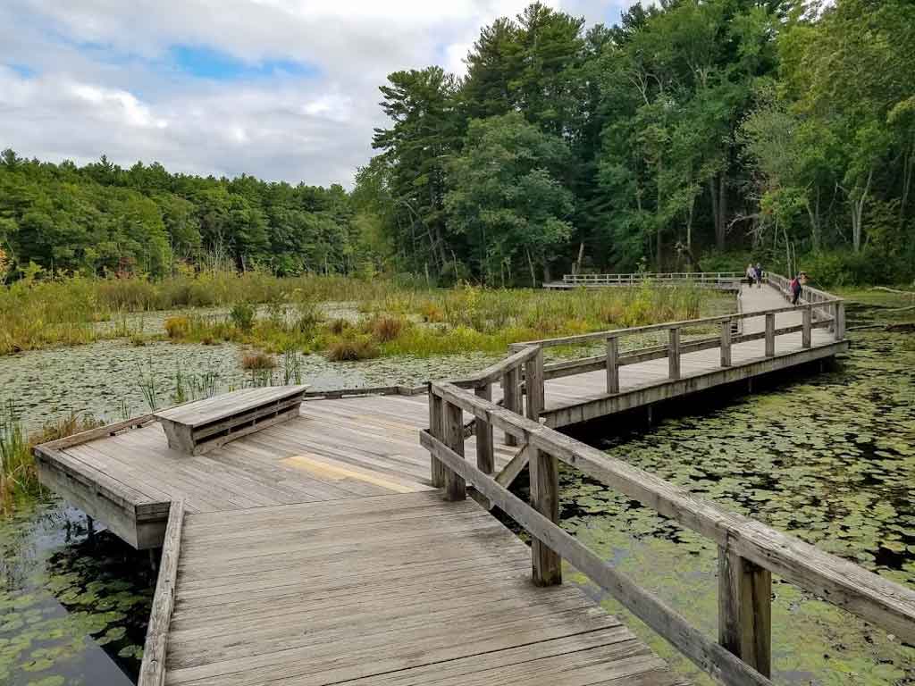 Mass Audubon's Broadmoor Wildlife Sanctuary