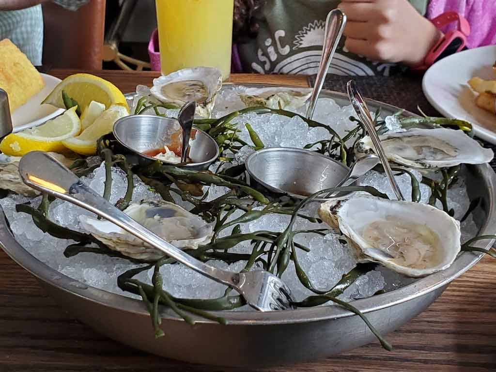 Oysters at The Banks Seafood and Steak