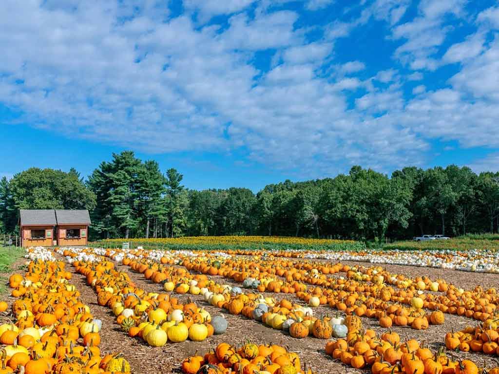 Parlee Farms