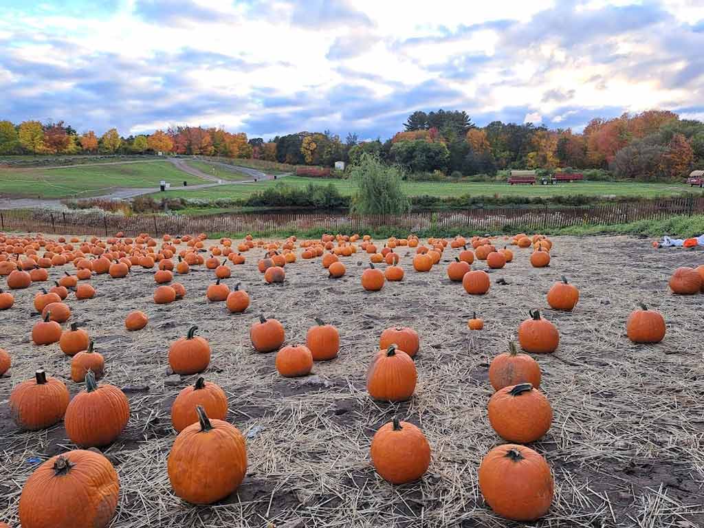 Smolak Farms—North Andover