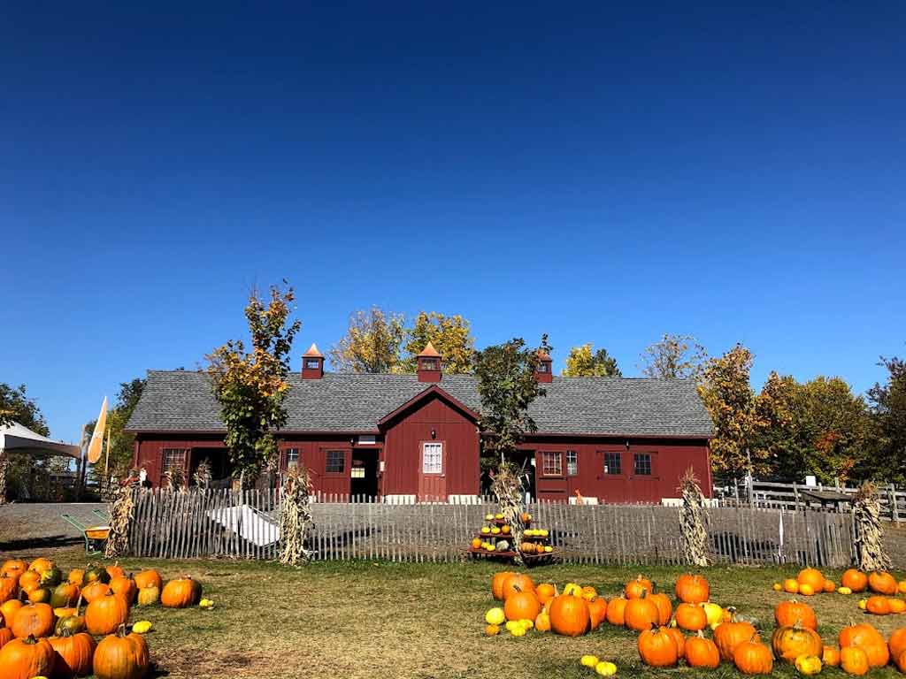 Tougas Family Farm—Northborough