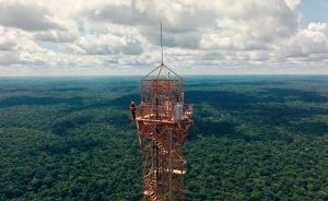 Amazon Tall Tower Observatory