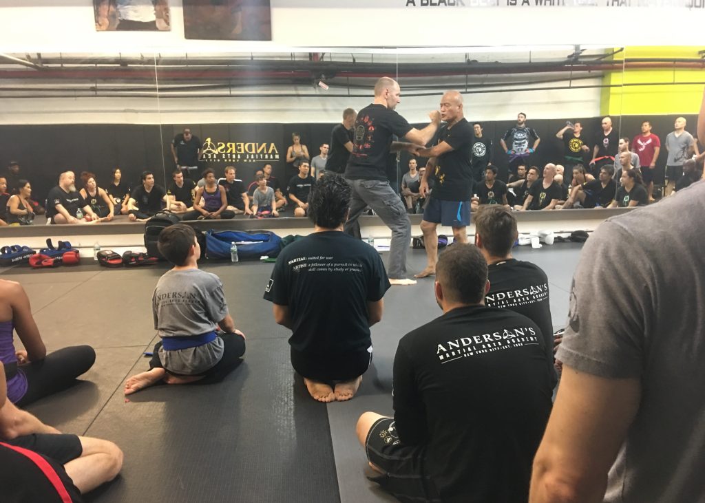 Anderson’s Martial Arts Academy