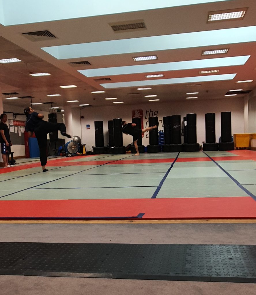 The Martial Arts Place